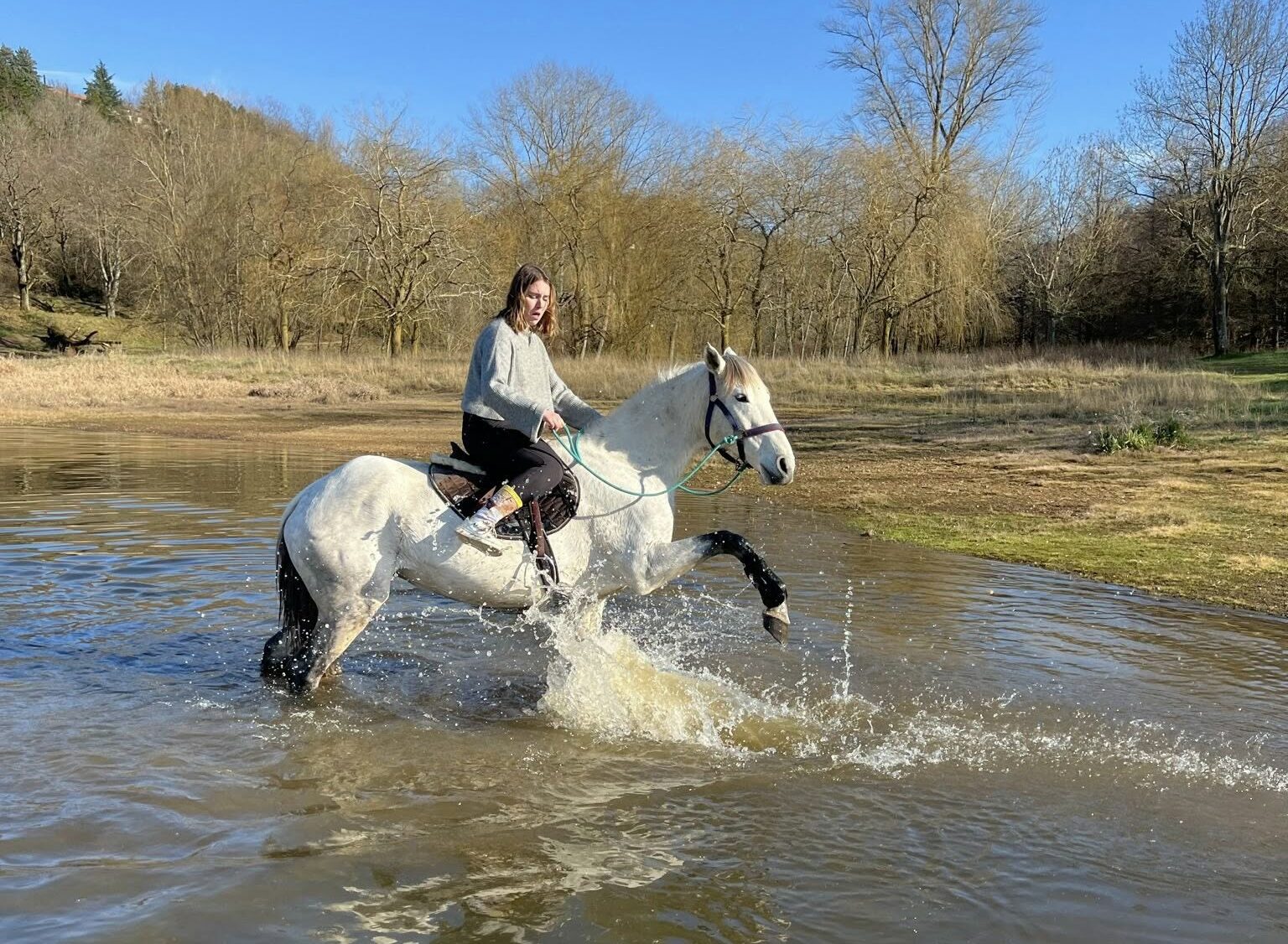 Balade à cheval au Ranch VogElEden dans la nature paisible de Cammazes sous un ciel bleu ensoleillé,
