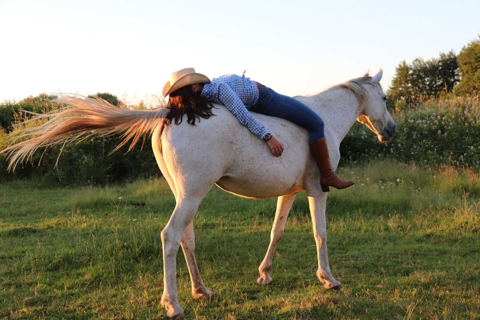 Moment paisible au Ranch VogElEden à Cammazes, cavalier détendu sur un cheval blanc en pleine nature,