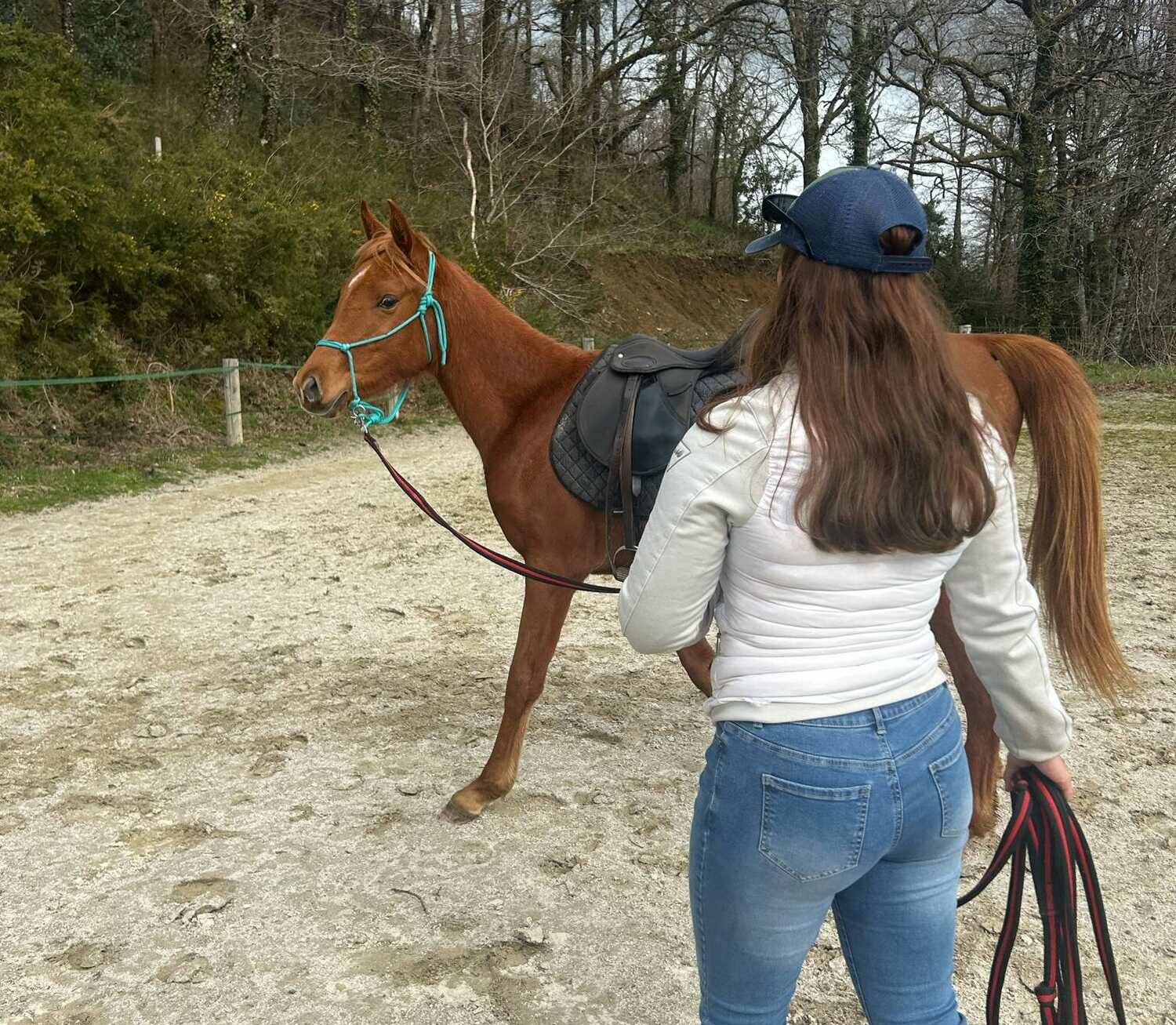 Séance équestre au Ranch VogElEden à Cammazes, femme guidant un cheval alezan sur un terrain naturel,