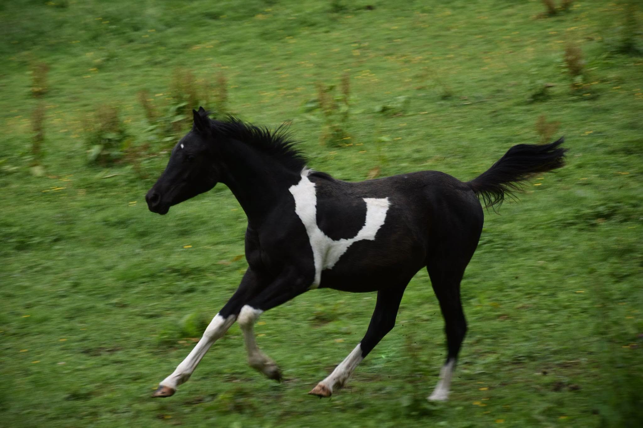 727658912_1282847670728999_2063655150277563485_n